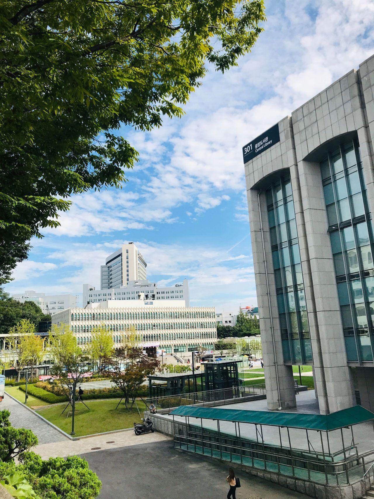 延世大学的校园，在秋季的枫叶装饰下，显得格外美丽。